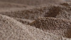 Обществени сгради в София преминават на отопление с биомаса