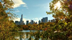 Природата като оръжие в борбата с глобалното затопляне