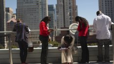 Молбите за помощ при безработица в САЩ паднаха до 5-седмично дъно