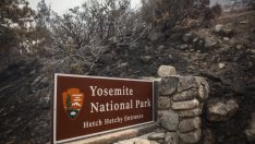 Йелоустоун, с подкрепата на McDonald's