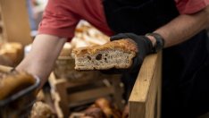 Безработицата у нас през ноември запазва равнище от 5,2%