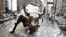 Бичите настроения на щатските борси пораждат мъчителни съмнения