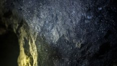 Цената на платината се отдръпна от шестгодишния връх