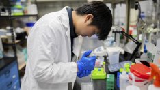 Китай разработва литиева батерия, два пъти по-мощна от тази на Tesla