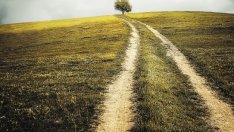 Фермерите с проекти за инвестиции в стопанствата искат най-вече техника