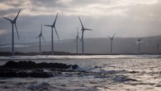 Германският гигант RWE ще развива офшорни паркове съвместно с Tata Motor