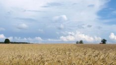 Бумът на пазара на земеделска земя в САЩ може да достигне пика си тази година