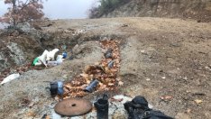 Какво се случва по трасето на магистрала "Струма"