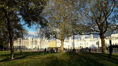 Само българите с трудов договор в Англия ще гласуват на евровота при твърд Brexit