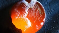 Истинската криза в еврозоната едва сега започва