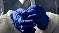 Заразените с коронавирус в света вече са над 1 млн. души*