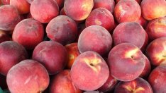 Потребителската кошница поевтинява с 1 лв. за седмицата