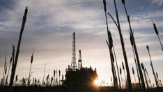 Петролът се върна под цените отпреди атаката срещу Saudi Aramco *