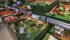 Служебният кабинет предлага таван на надценката на храните от 25%