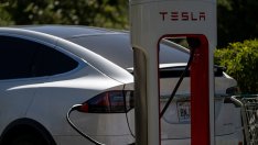 Германците купуват повече електрически автомобили, но не и коли на Tesla