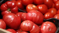 Продукти за 15 млн. лв. са продали в Европа български производители през Lidl