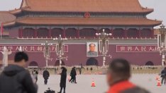 Китай започна антидъмпингова проверка на вноса на свинско месо от ЕС