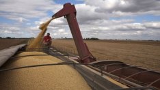 Аржентина стресна пазарите на соя с план за национализация на водещ доставчик