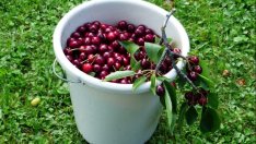 Инспекцията по труда предлага еднодневните трудови договори да станат електронни