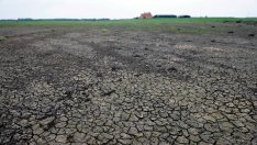 Екстремните метеорологични условия по света могат да увеличат разходите за храна