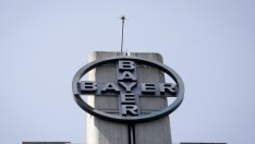 Alphabet търси партньорство с Bayer и Сие?