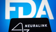 Neuralink е изправена пред федерална проверка и недоволни служители 