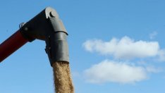 Китай ще ускори закупуването на американски селскостопански стоки