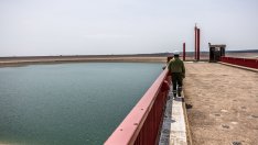 Милиони работници по света са застрашени от глобалното затопляне