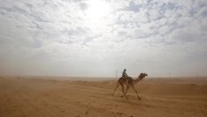 Саудитска Арабия ще започне да издава туристически визи