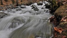 Система за мониторинг ще следи водите на Искър в реално време
