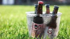 Пивовари: При крафт бирата сезонност няма 