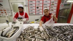 Фонд на фондовете ще финансира кредити в сектор „Рибарство“