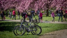 Около 2 хил. безработни ще започнат работа по регионални програми за заетост