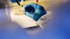 По-важното от изминалата седмица 