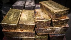 Новата "Златна треска" в условия на пандемия