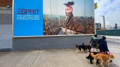 Esprit води преговори с компания за частни инвестиции