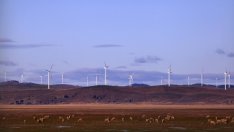 Възобновяемите източници са привлекли рекордните 329 млрд. долара през 2015 г.