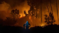 Горските пожари в Европа са унищожили най-много земя от близо 20 години