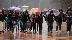 МОН работи по няколко варианта за по-леки ученически раници