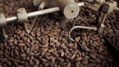 Какаото и кафето са най-печелившите суровини през 2024 г.