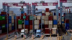 ОИСР: Търговската война на Тръмп ще забави растежа в Канада, Мексико и САЩ