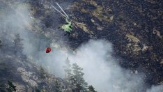 Глобата за палене на огън в пасище може да достигне до 12 хил. лв.