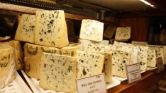 Гърция защити сиренето фета с договора за свободна търговия с Япония