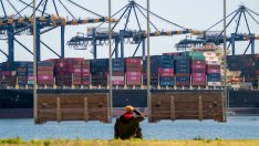 ОИСР очаква забавяне на световния растеж заради митата