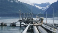 Ниският добив на петрол застрашава съществуването на "Трансаляска"