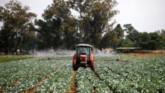 Фермер: Дигитализацията е по силите само на едрото земеделие в България