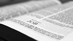 208 хил. безработни са започнали работа през първите десет месеца на годината