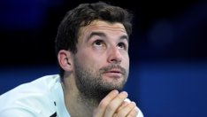 Григор Димитров – най-популярното търсене в българския Google за 2017 г.