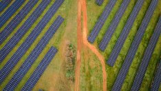 Световните инвестиции в чиста енергия растат въпреки критиките на Тръмп