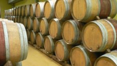 Климатичните промени удариха по лозарския сектор